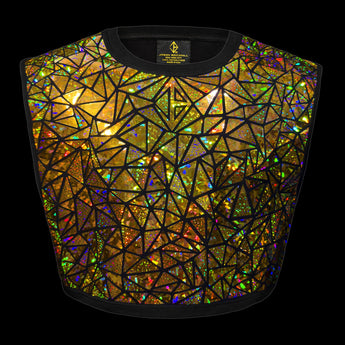 Sparkly Holographic Gold Crop Top by Jason Brickhill