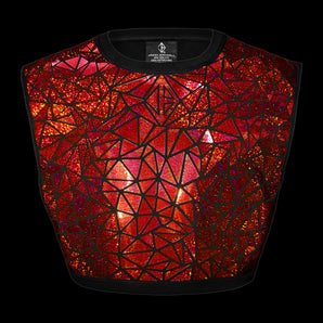 Holographic Red Crop Top