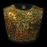 Sparkly Holographic Gold Crop Top by Jason Brickhill